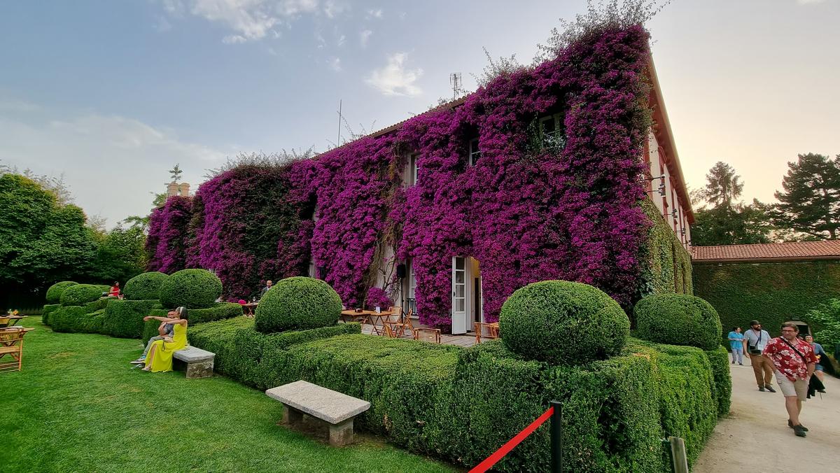 /images/20220617_212257-preview.jpg /images/20220617_212257-preview.jpg