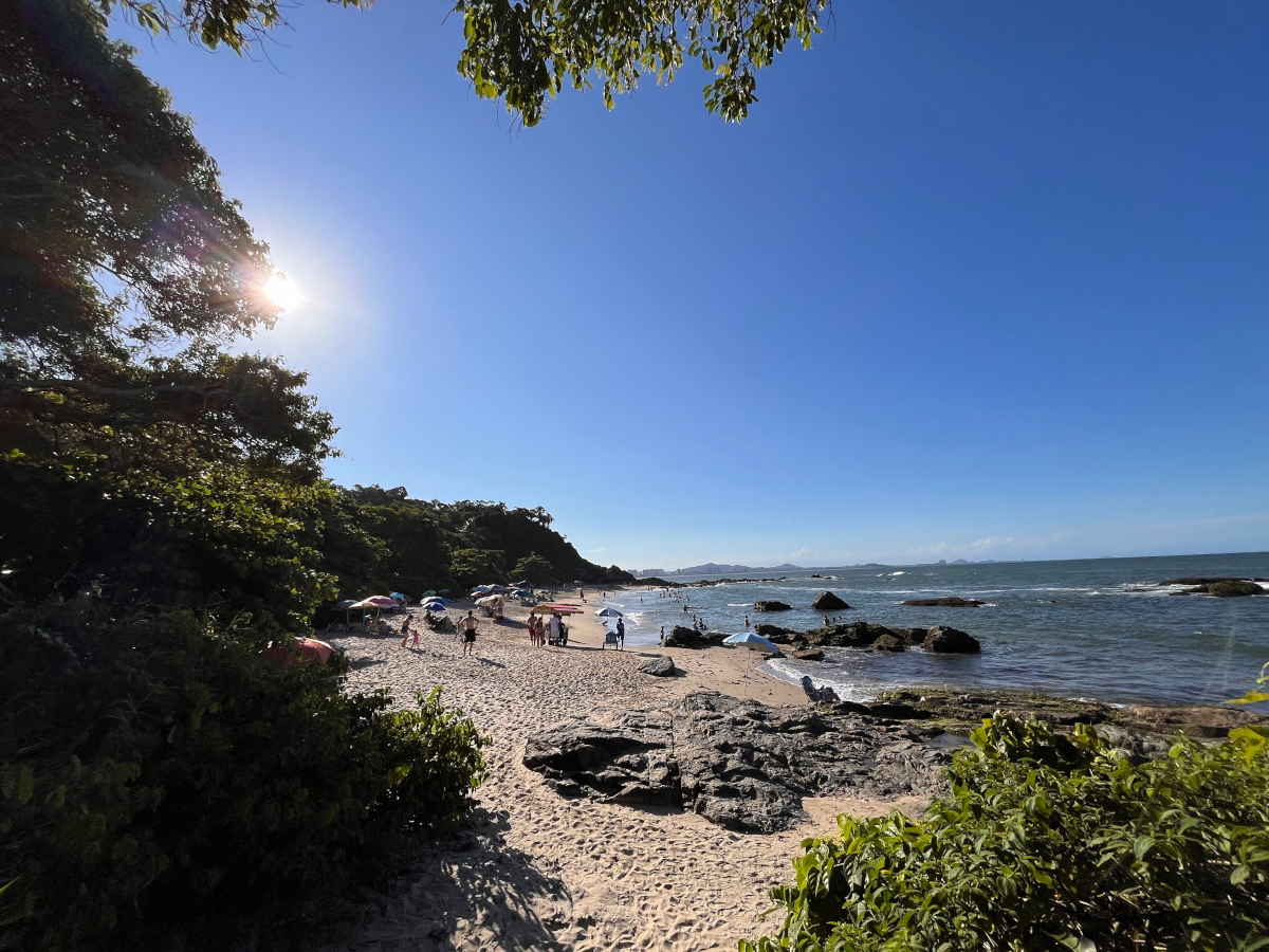 /images/bacia-da-vovo_2025-preview.jpg /images/bacia-da-vovo_2025-preview.jpg